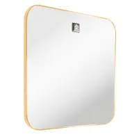 Code FF270MIRCOR